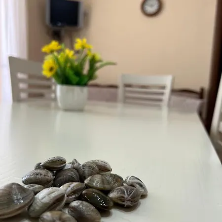 “koka” Apartamento